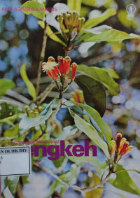 Image of BAGAIMANA MENANAM CENGKEH