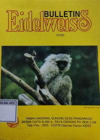 Image of BULLETIN Eidelweiss