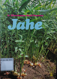 Image of Jahe