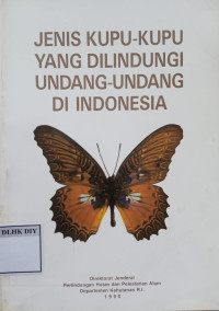 Image of Jenis Kupu-Kupu Yang Dilindungi Undang-Undang di Indonesia