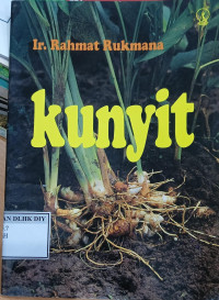 Image of KUNYIT